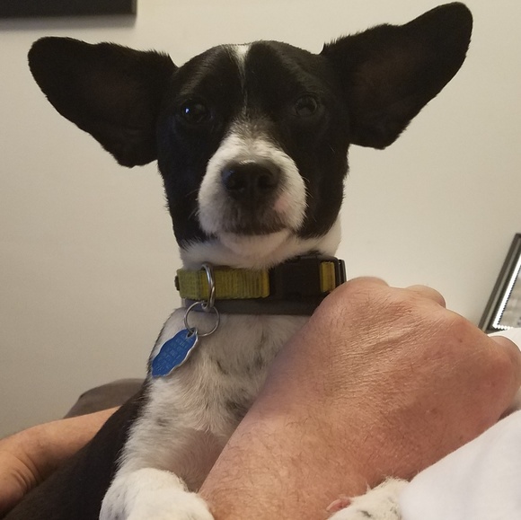 🌼 My Favorites 🌼 - Picture 2 of 9